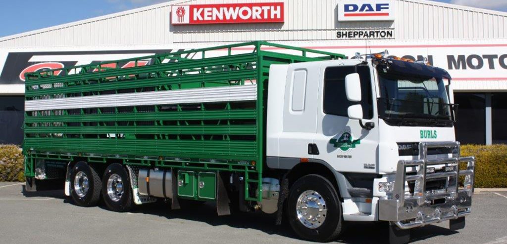My DAF Truck - Drymarsh Livestock Services