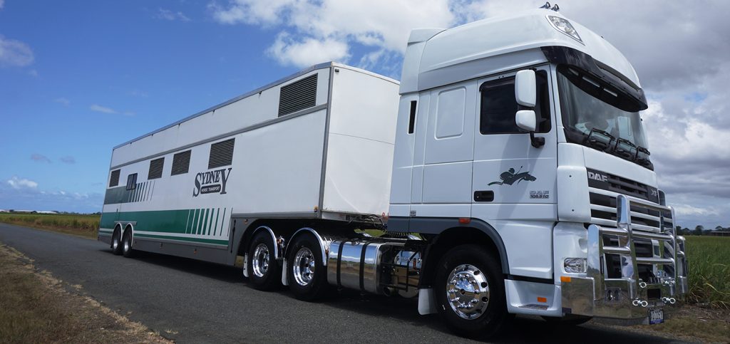 My DAF Truck - Sydney Horse Transport